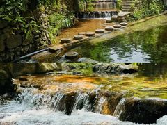 -宜兴龙背山森林公园