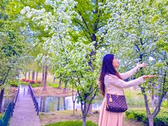 -长广溪湿地公园