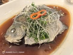 清蒸甘古鱼-荔城生鲜盛宴(番禺旗舰店)