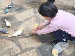 -南宫五洲植物乐园