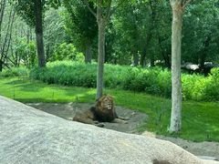 -北京野生动物园