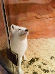 -Zoolung Zoolung动物主题公园(海信广场店)