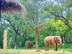 -北京野生动物园