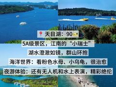-紫藤园·天目湖大鱼头(南山竹海店)