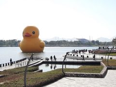 -深圳人才公园