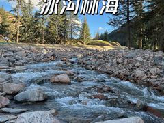 -冰沟林海