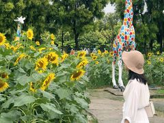 -广东花都香草世界旅游度假区