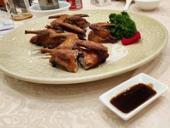 -坚记酒家·佛山老字号·顺德鱼生标准示范店