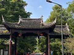 -八大山人梅湖景区