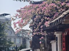 -三溪村