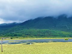 -腾冲北海湿地