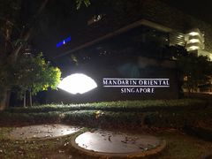 -新加坡文华东方酒店