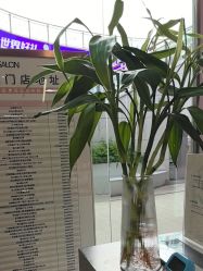 -京世沙龙