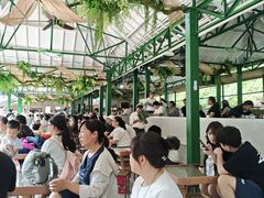 -野象谷景区
