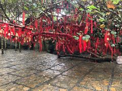 -海南槟榔谷黎苗文化旅游区
