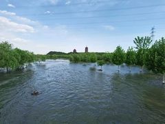 -永定河休闲森林公园