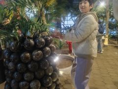 -北戴河集发农业梦想王国