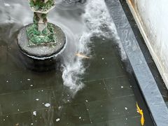 -觀芷隐轩