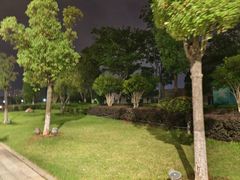 -九龙湖公园