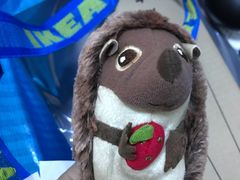 -宜家家居(哈尔滨商场店)