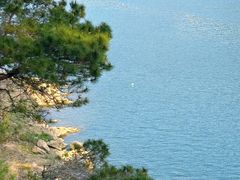 -羚羊峡古栈道森林公园