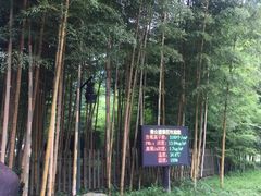-黄公望隐居地