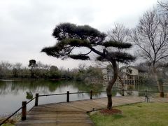 -新荣记(西溪湿地店)