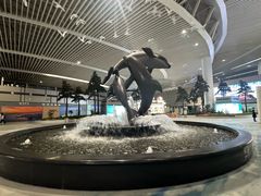 -青岛胶东国际机场