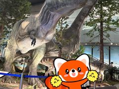 -湖南省地质博物馆