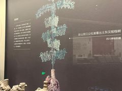 -四川大学博物馆