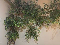 -暗楼·剧本杀·桌游