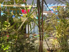 -左庭右院鲜牛肉火锅(浦江欢乐颂店)