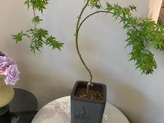 -不晚酒店(苏州观前平江路店)