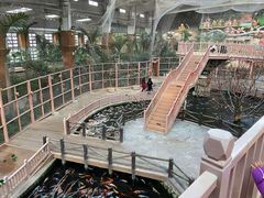 -南宫五洲植物乐园