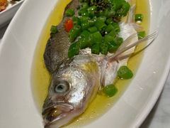 -荣兴酒家(徐家汇店)