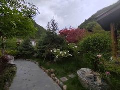 -麦积山温泉