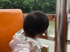 -大湾区中央湿地公园