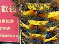 -荔枝红五号农庄