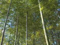 -陶祖圣境风景区