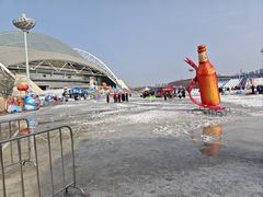 -沈阳奥体冰雪嘉年华