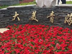 -武清南湖绿博园