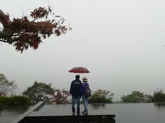 -江南天池