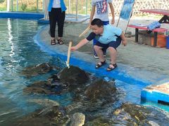 -北戴河圣蓝海洋公园