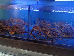 -阿伟海鲜楼·福建菜(延寿店)