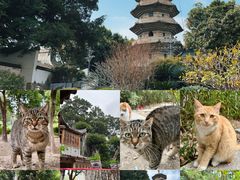 -乌山风景区