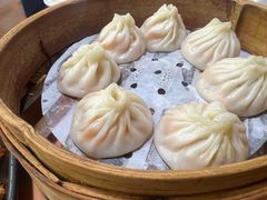 -莱莱小笼·乔艾