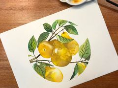 -六出私塾LiuChu•成人美术书法系统课程专业画室(熊婆婆的花园店)