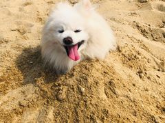 -上海月湖雕塑公园