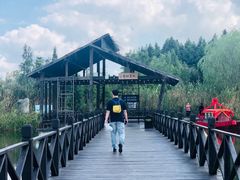 -溱湖国家湿地公园