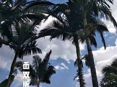 -抚仙湖禄充风景区
